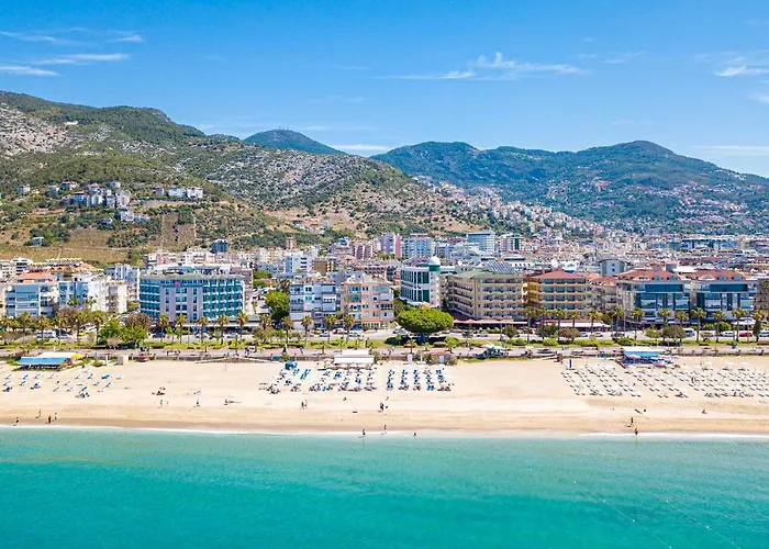 بلو ستار فندق 4*